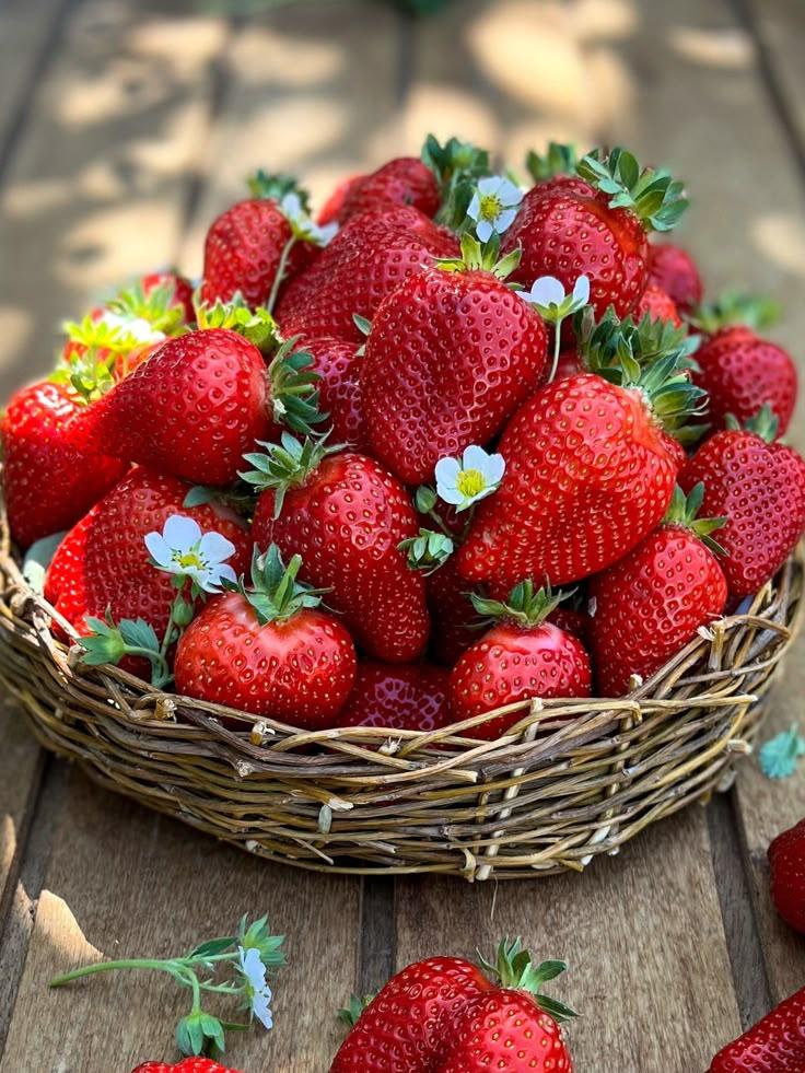 Sun-Kissed Delights: Juicy Fruit Bountiful Basket